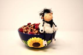 Cute and beautiful, white and black cow, on the colorful and beautiful bowl with the sunflower, with the muesli inside