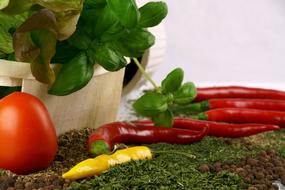 Tomato and Paprika and Pepper vegetables