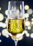 a glass of champagne on a background of festive lights