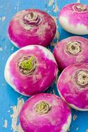 Turnip pink Red on a shabby blue surface