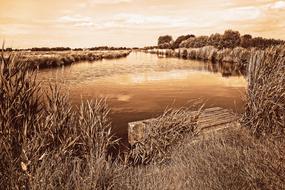 Waterway in countryside, netherlands, amstelveen