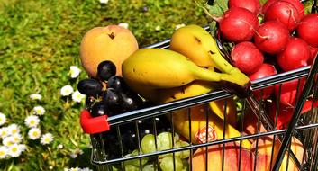 natural ripe fruits in the shopping cart