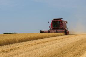 Harvest Crops