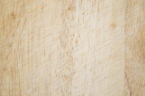 Close-up of the beautiful, wooden texture of the cutting board, clipart