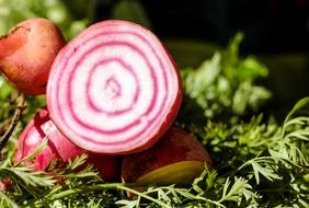 Beetroot Turnip