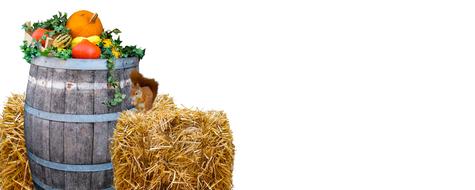 harvest of vegetables in a wooden barrel on a background of hay