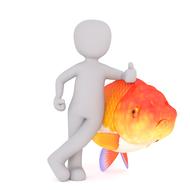 white male 3d orange fish