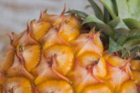 Pineapple Fruit macro