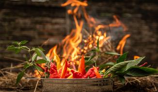 Fire Chili Sharp red