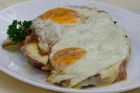 appetizing Fried Egg Bread