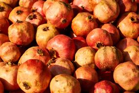 vitamin Pomegranate Fruits