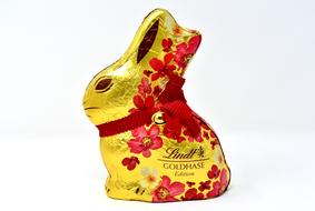 Chocolate Easter Bunny gift