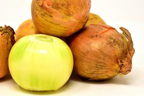 yellow white Onions Vegetables