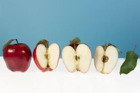 Beautiful, colorful, ripe, shiny apples, with the green leaves, at blue and white background, clipart