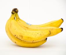 photo of a banana branch on a white background