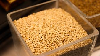 sesame seeds in a glass glass