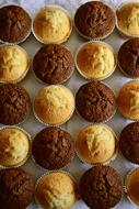 just Baked Muffins, top view