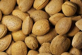 Beautiful, ripe, brown almonds in the shells