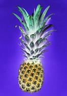 pineapple on a blue background as an illustration