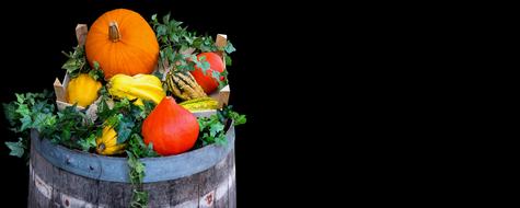 Nature Harvest Autumn black background