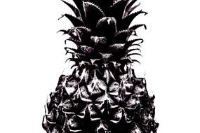 Pineapple black and white