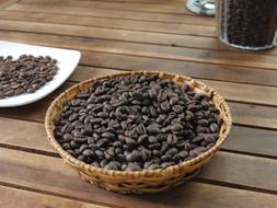 Coffee Robusta