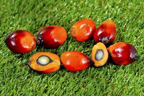 fruits on green grass close up