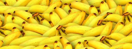 banner with ripe bananas