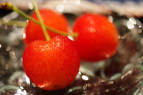 three cherries on a cocktail