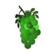 grape symbol on white background