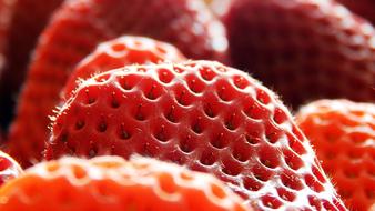 Close-up of the beautiful, ripe, red strawberries in light