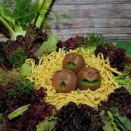 three kiwis shaped like chicks in a vegetable nest