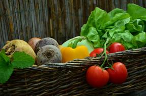 fresh vegetables in a large wicker basket in the garden