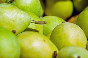 macro photo of green pears