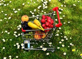 Healthy vegetables in Shopping Cart