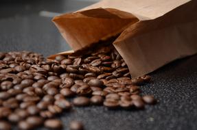 Coffee Epicurean