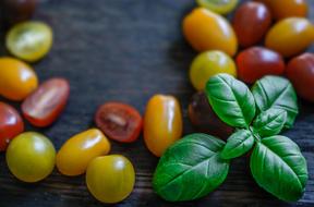 assorted cherry tomatoes with basil