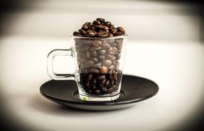 Coffee Bean glass cup