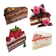 cake sweets pastry shop
