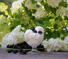plate of ice cream on the table in the garden
