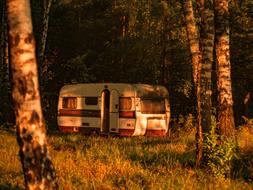 The Trailer At Nature