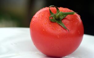 wet red Tomato on white plate