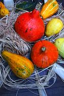 decoration of decorative pumpkins in October