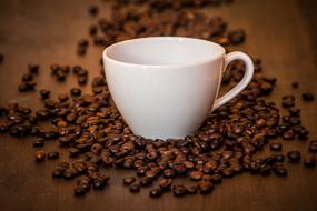 Shiny, white coffee cup, among the beautiful, brown coffee beans, on the wooden surface