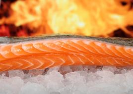 salmon fillet on ice