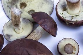 brown Chestnut Mushrooms