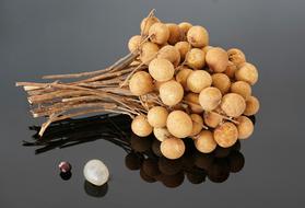 Dimocarpus Longan Tropical fruit