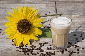 Iced Coffee and yellow flower and coffee beans