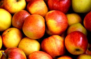 many colorful apples close up