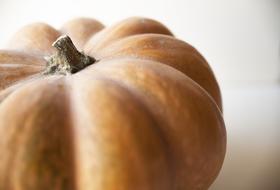 photo of dark orange pumpkin